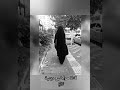 كل القلوب إلى الحبيب تميل كل القلوب إلى الحبيب تميل