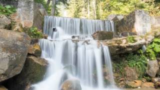 Alicia Sevilla - Abedul Relax Piano Music