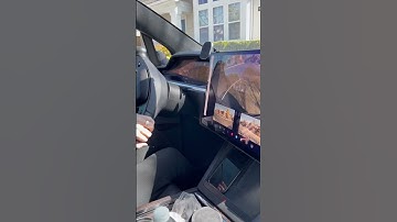 Tesla squeaking noise from turning the wheels