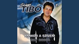 Video thumbnail of "Sláger Tibó - Rossz fiú"