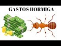 Loa Gastos Hormiga - Aprenda a Controlarlos