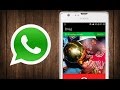 Как включить звонки в WhatsApp - инструкция!