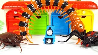 Tayo the little bus Garage & Iron Man, Spider & Cockroach & Centipede Monster, Funny Insect Story