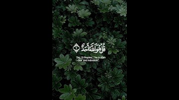 سورة تعدل ثلث القران |  في أقل من 20 ثانية | سورة الإخلاص