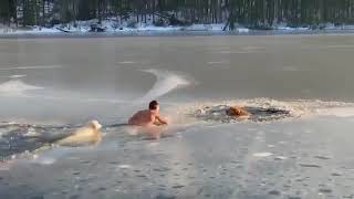 Спас двух собак, провалившихся под лед