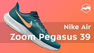 Кроссовки Nike Air Zoom Pegasus 39. Обзор