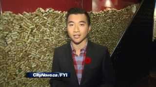 Tab app to settle bills in seconds – CityNews (Winston Sih) screenshot 2