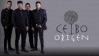 Video thumbnail of "Soltero y borracho - Ceibo (ft. Ángel "el negro" Videla )"