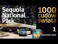 1000 cudów świata - Sequoia National Park