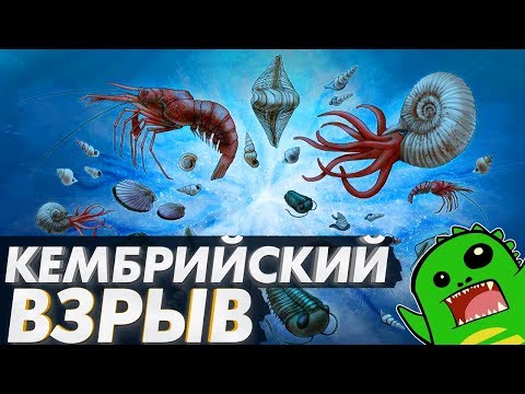 Жизнь и смерть первых многоклеточных: Кембрийский взрыв, мышцы, мозг, ноги и цефализация