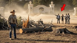 They Bulldozed My Windbreak Trees — So I Buried Their Entrance Under Sand