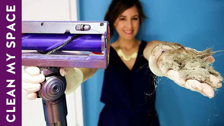 Just How Disgusting Is Your Vacuum Cleaner? - DayDayNews