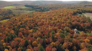 DJI Phantom 4 - Fall Foliage in 4K