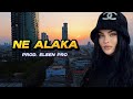 KÖK VL Ne Alaka Prod Elsen Pro 