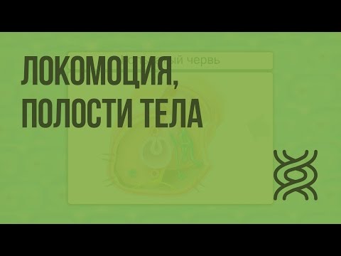 Локомоция, полости тела. Видеоурок по биологии 7 класс