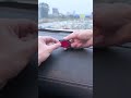 Thieves Won't Know It's Fake #shorts #security