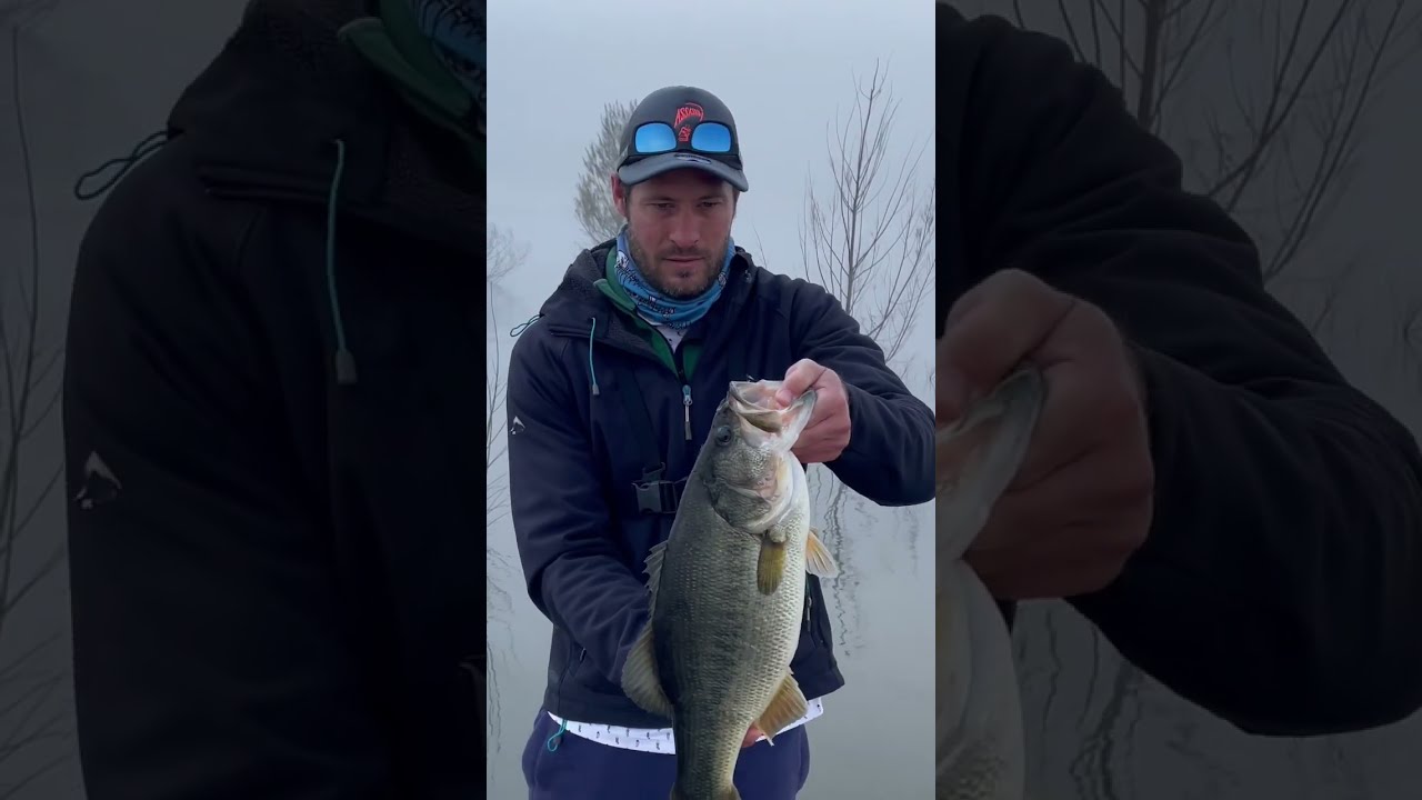 Googan Baits Mondo Worm victim !! Pre-spawn Giant Bass 