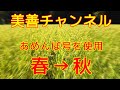 【美善/BIZEN】水田除草、春→秋