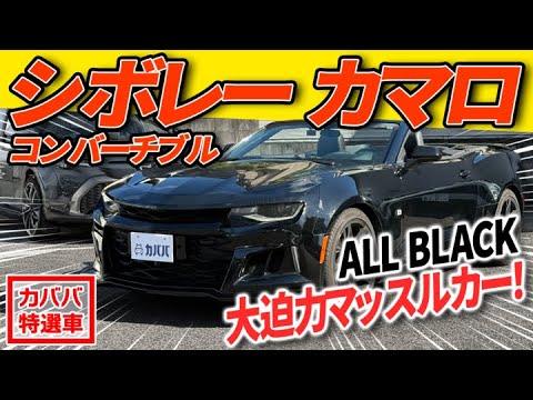 Rare Car Not Available in Japan] Get a Great Deal on this Custom