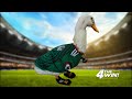 4 the Win!: Duck goes viral for wearing Mexico jersey