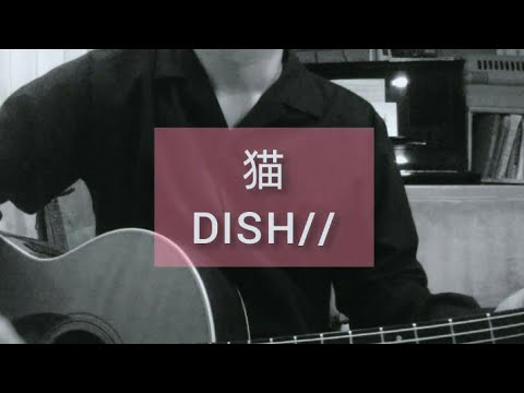 DISH// - 猫 (cover)