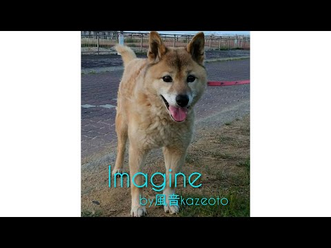 Imagine　ピアノ弾き語り　covered by 風音kazeoto(歌詞つき)