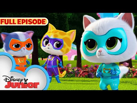 SuperKitties First Full Episode! | NEW SHOW | Get the Boot | S1 E1 Part 2 | @disneyjunior