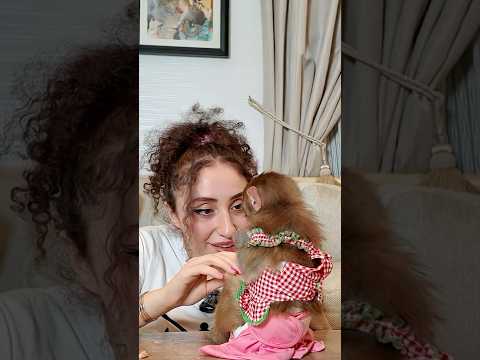 شفتو فلوق لوسي ودوشكا ازا اي حطو
