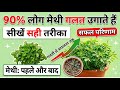 How to grow Fenugreek|methi home|90% log methi galat lagate hai|90% लोग मेथी नहीं लगा पाते क्यों ?