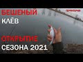 БЕШЕНЫЙ КЛЁВ! Открытие сезона на реке Днестр 2021, рыбалка фидер 2021, рыбалка на речке Днестр