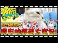 【Bonnie】阿布在哪裡?! - 貓咪新配件│阿布的國旗小領巾! ! 超咖哇伊的外出太空包 ! !