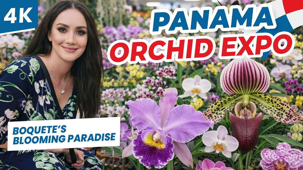 🇵🇦 Thousands of Orchids in One Place?! Boquete, Panama’s Most Beautiful Event