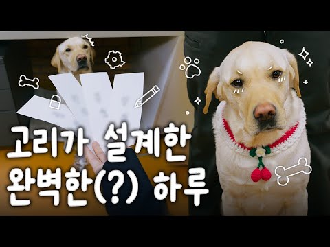 <strong>안내견학교</strong> 24시, 시범견 고리가 정해드려요