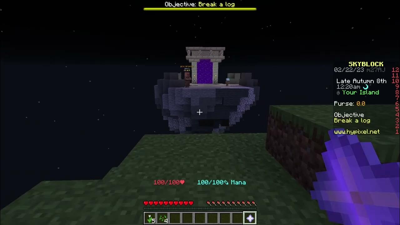 How To Playthrough Hypixel Skyblock Levels Guide Part 1 Magzie