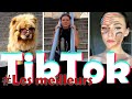 TIKTOKS Pour Passer Le Temps 😂 - Les Meilleurs TikTok Francais De 2020