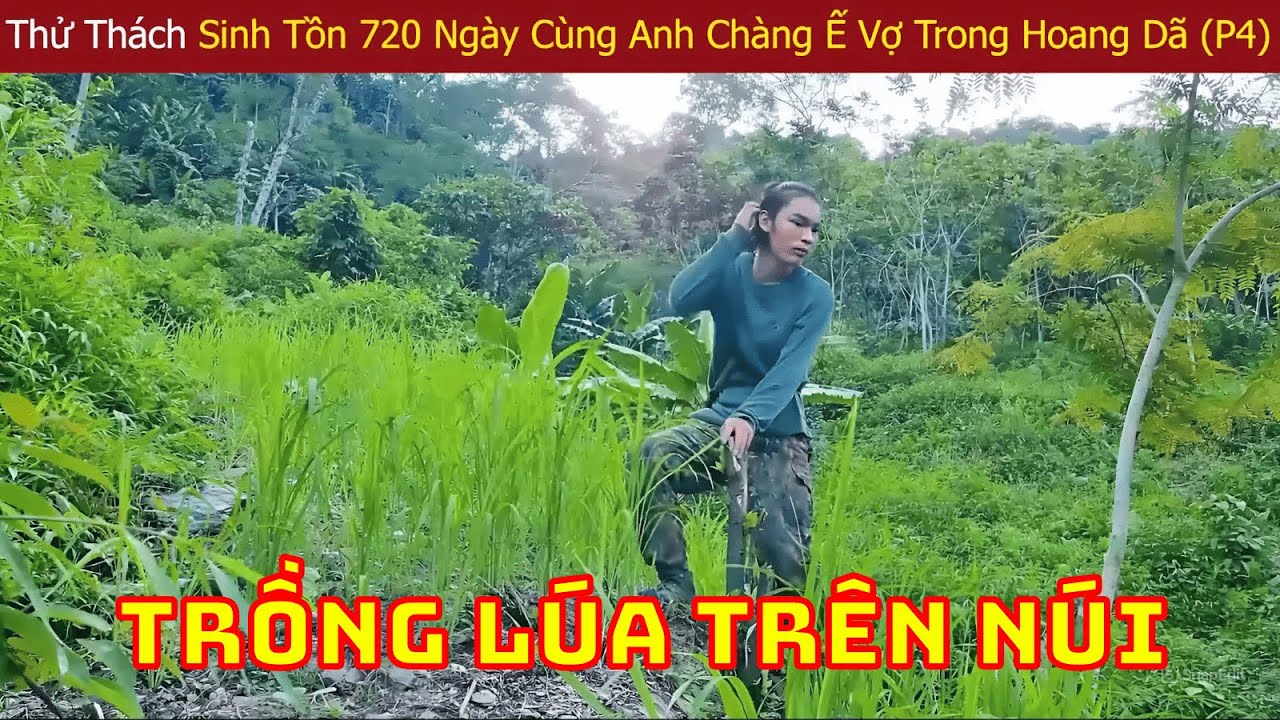 Thử Thách Sinh Tồn 720 Ngày Cùng Anh Trai Ế Vợ Bỏ Phố Về Rừng Với Hành Trình Trồng Lúa Trên Núi (P4)