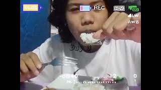 mini vlog pe performance task