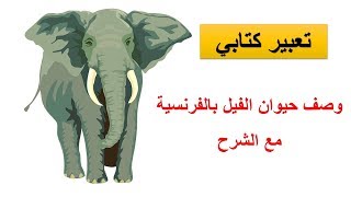 L'éléphant | وصف حيوان الفيل بالفرنسية مع الشرح | تعبير كتابي