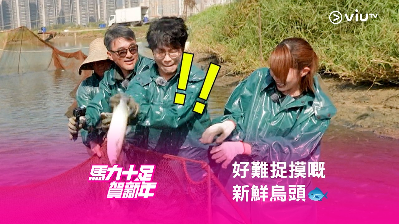 《馬力十足賀新年》🐎 好難捉摸嘅新鮮烏頭🐟