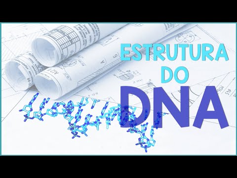 Vídeo: Como é a estrutura do DNA?