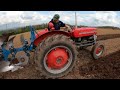 1966 Massey Ferguson 135 2.5 Litre 3-Cyl Diesel Tractor (46HP) With Reversible Plough
