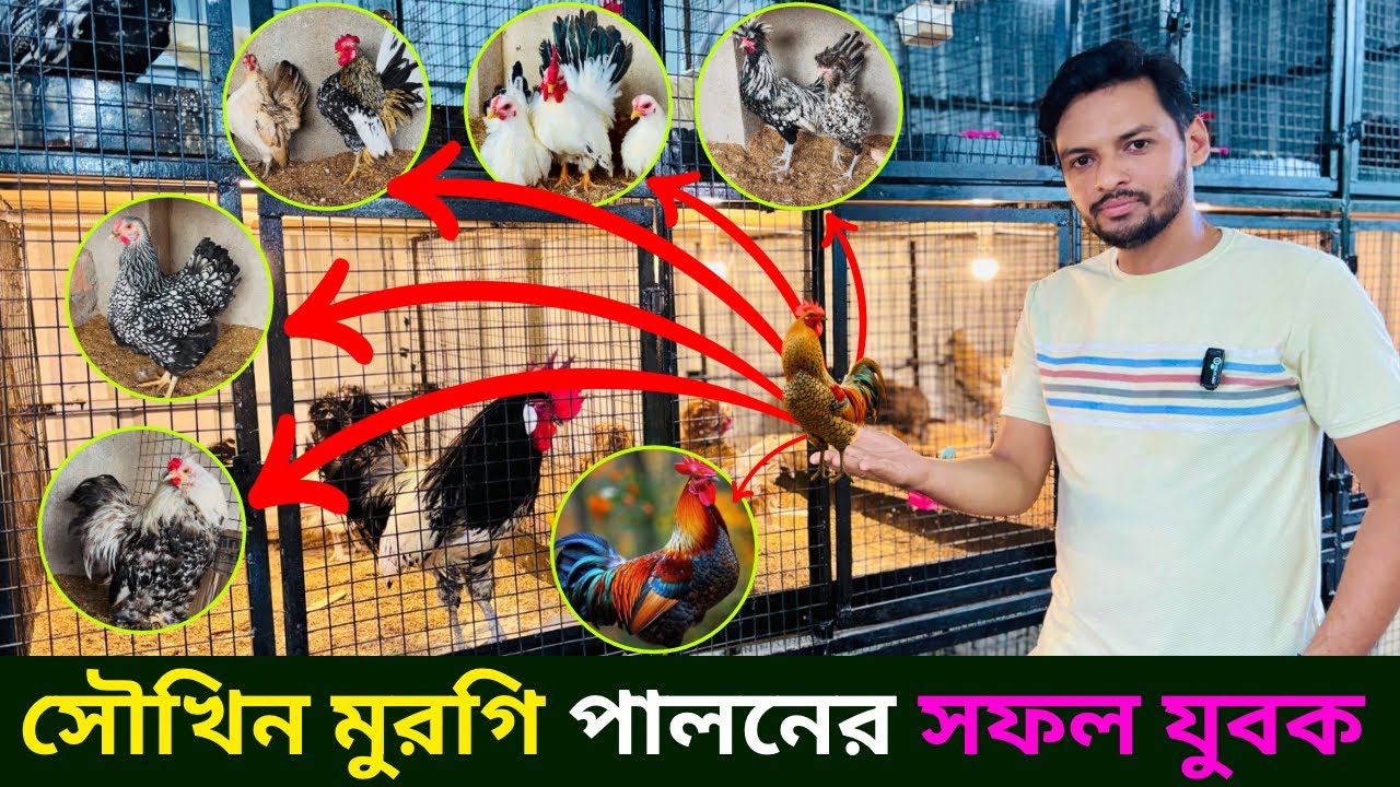 সৌখিন মুরগি পালনের সফল যুবক। fancy ￼bird farming in West Bengal.