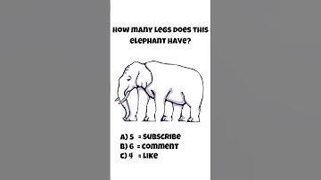 How many legs does this Elephant have? | Optical Illusions