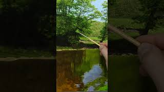 Painting a Photo-Realistic River #satisfying #artlessons #shorts