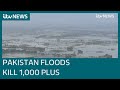 Pakistan floods death toll tops 1,000 as minister declares 'serious climate catastrophe' | ITV News
