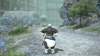 FF14 GTX1080Tiによるフレームレート制限の動きの違い 2560×1440 144Hzモニターで検証 FF14 GTX1080Tiによるフレームレート制限の動きの違い 2560×1440 144Hzモニターで検証