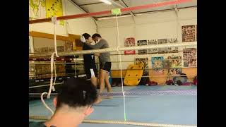 2022100901 toellgym.com
