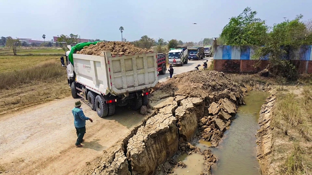 Great New Project! SHANTUI C3 Dozer Working on Landfill Field with DONGFENG Dump Trucks Unloading So