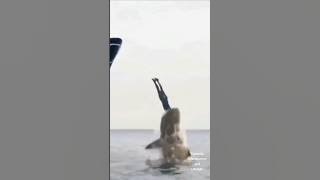 Download lagu What kind of dream is this? #viralreels #comedy #christmas