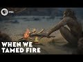 When We Tamed Fire 
